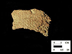 Dames Quarter cord-marked body sherd from a Maryland unprovenienced site.